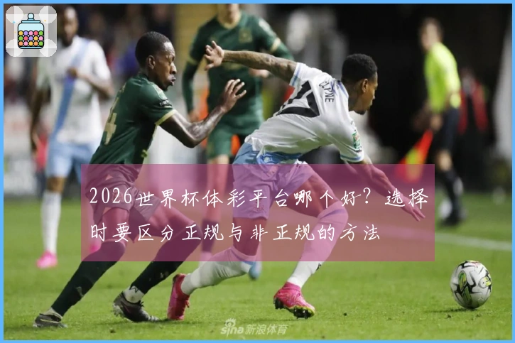 2026世界杯体彩平台哪个好？选择时要区分正规与非正规的方法