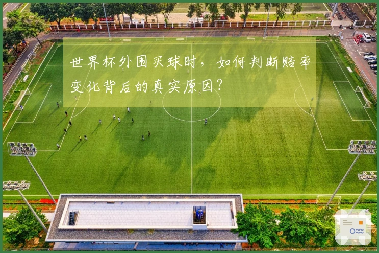 世界杯外围买球时，如何判断赔率变化背后的真实原因？