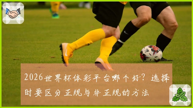 2026世界杯体彩平台哪个好？选择时要区分正规与非正规的方法