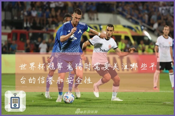 世界杯冠军竞猜时需要关注哪些平台的信誉和安全性